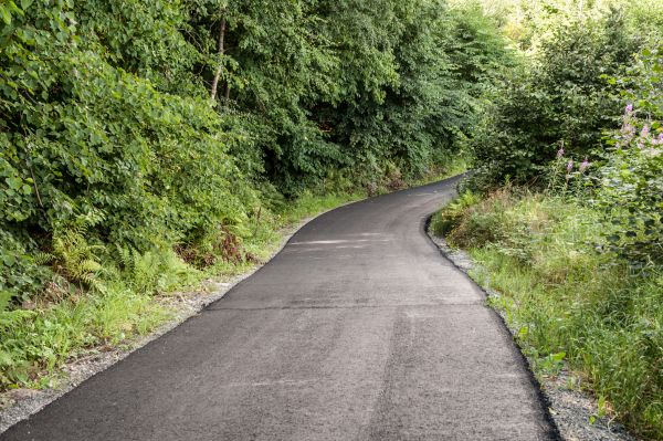 Cost of Asphalt Driveway Replacement in Auburn